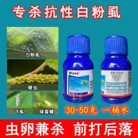 联苯菊酯啶虫脒 果树蔬菜花白粉虱卉蚜虫蓟马蚧壳虫杀虫剂 50克*1瓶