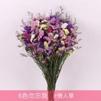 满天星勿忘我干花花束鲜花风干真花客厅家居装饰云南产地直发批发 6色勿忘我加配草 短款25支