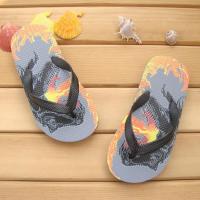 夏季男童防滑人字拖鞋夹脚休闲凉拖鞋软底舒适沙滩防水优质恐龙潮 喷火龙 28/29