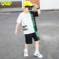 童装男童套装2021新款胖男孩夏季8中大童7夏装儿童休闲短袖两件套 鳄鱼款(拼色套装) 特价款 110
