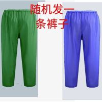 加厚牛筋雨衣雨裤套装防暴雨成人干活雨衣套装工地加厚雨衣批发 随机颜色[单件雨裤] 均码