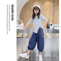 童装女童套装2021新款短袖洋气薄款牛仔裤中大童宽松灯笼裤两件套 灰色+牛仔蓝 120 体重标准多高拍多大