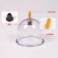 康祝拔罐器真空12罐加厚拔火罐拨罐器家用磁疗抽气式吸湿气灌