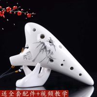 陶笛12孔初学入门十二孔ac中音C调专业演奏陶埙乐器6送教学 黑竹[圆头]送全套配件+视频教学