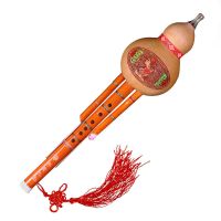 天然紫竹凤尾竹葫芦丝乐器降B调C调民族乐器双音儿童成人小学入门 降B调 教程书