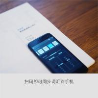 [百词斩出品]考研英语核心词汇书资料书 核心高频考试词汇 带插图例句 随身 考研英语单词书 英语大纲词汇表