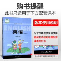 2021春典中点六年级英语下册冀教版课本同步训练思维训练同步练习册综合应用创新题课内教辅资料书小学生教辅典点 点中典6年