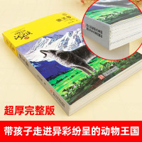 狼王梦沈石溪正版完整版浙江少年儿童出版社沈石溪动物小说系列单本大王小学生三四五六年级儿童文学课外阅读书籍必读全本故事