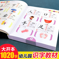 学前1020字识字大王书籍幼儿园学前认知幼升小生字非卡片2-3-4-6岁宝宝早教益智看图认字注音汉字绘本故事宝宝早教启蒙