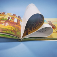 花婆婆精装硬皮绘本 芭芭拉库尼4-6-8周岁儿童阅读非注音版幼儿园小学生一年级二年级2020年寒暑假课外经典书目书籍新华