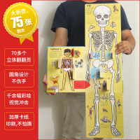 揭秘人体3d立体翻翻书 乐乐趣揭秘系列儿童翻翻书3-6-12岁科学认识人体的奥秘结构我们的身体百科全书幼儿绘本科普书