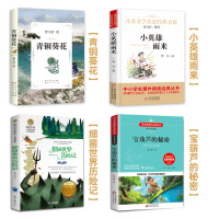 四年级下册必读经典书目全套4册 宝葫芦的秘密 小英雄雨来 青铜葵花 细菌世界历险记 老师推荐小学生课外阅读书籍正版原著完
