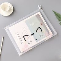 A4透明文件袋拉边档案袋韩国小清新初中资料袋塑料试卷收纳袋文具 颜色封面随机(1个装)