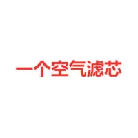 哈弗h6h1h2sh3长城c30风骏5炫丽M4腾翼c50哈佛h5h7m6空气空调滤芯 1个空气滤芯 C20R