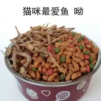 含鱼干猫粮2斤5斤10斤成猫幼猫通用型海洋鱼味牛肉味特价英短 鱼干猫粮2斤装(尝鲜)