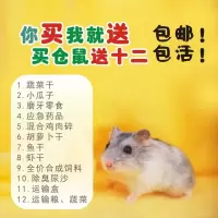 宠物小仓鼠活体三线熊金丝熊宝宝布丁紫仓奶茶牛熊情侣小仓鼠宠物 仓鼠宝宝必备营养条(无仓鼠) 公+鼠粮100克木屑50克