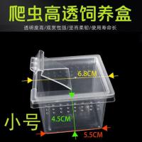 蚕宝宝饲养盒爬宠饲养盒蜘蛛守宫蜥蜴蝎子蜈蚣角蛙甲虫饲养箱 小号透气饲养盒3个