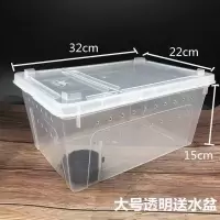 饲养盒捕虫夹白蟋蟀油葫芦爬宠活体饲料蜥蜴守宫画眉鸟蜘蛛蝎子 大号饲养盒
