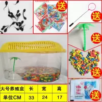 青蛙小蝌蚪活体饲料蛙苗活的小蝌蚪找妈妈小学生实验水族宠物活体 10送5[大号套餐]