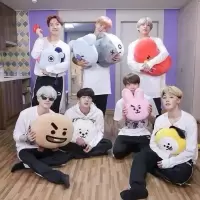 bt21防弹少年团BTS金泰亨V爱心枕玩偶生日礼物毛绒玩具女生 饼干 小号:30厘米-40厘米