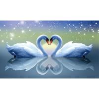 2021新款5D钻石画满钻带框送框客厅水晶天鹅十字绣手工自己绣2021 魔方圆钻非满钻[52*32厘米]