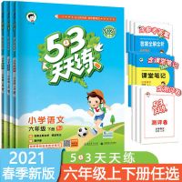 5.3五三天天练六年级上册下册语文数学英语同步练习册人教版2020 六年级下册 数学(北师版)