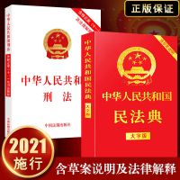 民法典2021刑法正版中华人民共和国民法典大字版刑法 [2021年施行]民法典+刑法