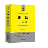 刑法一本通 正版2021年新第8版含修正案1-11刑法法条法律法规条文