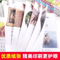 十万个为什么小学生注音版动物世界百科全书人体奥秘儿童科普书籍 (全新)十万个为什么