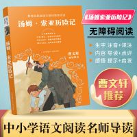 骑鹅旅行记历险记语文教材推荐阅读曹文轩江苏凤凰少年儿童出版社 汤姆索亚历险记 曹文轩推荐