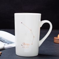 创意个性杯子陶瓷马克杯带盖勺潮流情侣喝水杯家用星座咖啡杯茶杯 白色星座杯无盖勺 双鱼座