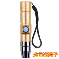 验钞灯笔照钱验钞灯识别真假钱币紫光紫外线验钱笔可充电款式检测 家用款-土豪金/不送充电器