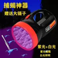 照蝎子灯专用强光紫光手提式蝎子灯抓捉捕蝎灯LED紫光灯超亮手电 手提10颗紫光+5颗白光送1镊子