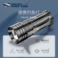 钓鱼灯紫光手电筒超亮强光可充电大功率四光源超长待机防水夜钓灯 2光源(白光/蓝光) 大容量普亮-标配充电19000K