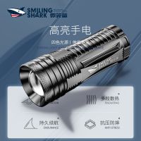 强光远射四光源手电筒多功能可充电野外夜行耐用特种兵手电LED灯 2光源(白光/蓝光) 充电式19000K-XP灯芯普亮