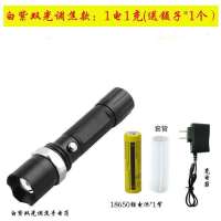 蝎子灯捕蝎紫光强光手电筒大功率超亮远射可充电捉豆虫灯大容量灯 5000M捕蝎灯1电1充送聂子