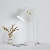 台灯LED护眼保视力学生学习办公书桌写字专用宿舍卧室床头插电式 白色-普通灯泡