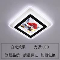 过道灯走廊灯LED吸顶灯现代灯阳台灯玄关灯衣帽间灯厚板亚克力灯 [单开白光] [安装指导]暗装/明装