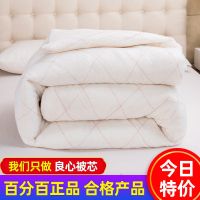 棉絮棉被棉胎学生宿舍床垫被单人被子被芯春秋冬被加厚保暖被褥子 90x200cm 2斤[被子]