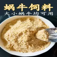 白玉蜗牛活体宠物蜗牛巨型明珠特大蜗牛宿舍小蜗牛观赏幼儿园家养 饲料50克