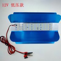 led低压12-85V碘钨灯50W100W超亮投光灯铝壳带插头电动车专用 正白 12V 50W