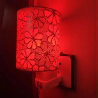 小夜灯浪漫夫妻卧室遥控床头插座灯温馨粉色情侣夫妻调情趣氛围灯 激情红色(插座开关)