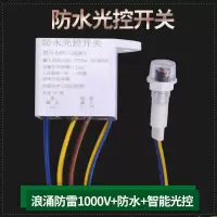 光控开关220V防雨防雷自动晚上亮光感应开关智能路灯控制器广告箱 防水防雷光控开关-1000V