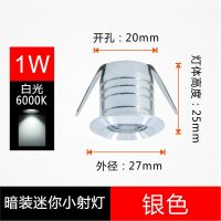 迷你LED小射灯1w3瓦开孔2cm公分22mm嵌入式微型柜台满天星筒灯20 特价银色1W正白光