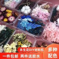 永生花满天星雏菊干花花材包浮游花压花幼儿园手工花艺diy材料包 随机一盒(种类较少)材料随机