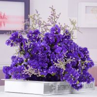 [含花瓶]满天星干花花束客厅摆设礼物送女生花瓶真花勿忘我插花 10支随机色勿忘我 不含花瓶