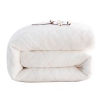 棉絮棉被棉胎垫被学生棉被子床垫褥子被芯单人春秋冬被被褥加厚被 三斤(夏被) 0.9*2.0米(垫被)