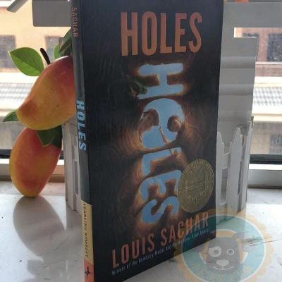 英文原版小说 Holes 洞 寻宝小子纽伯瑞奖 Louis Sachar