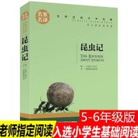 黑焰格日勒其木格黑鹤著五六年级课外书呼兰河传假如给我三天光明 昆虫记