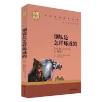 傅雷家书三联钢铁是怎样炼成的人教八年级下名人传苏菲平凡的世界 钢铁是怎样炼成的(名家名译)
